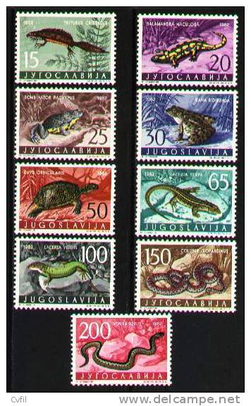 YUGOSLAVIA  1962 - FAUNA: REPTILES (9) - Snakes