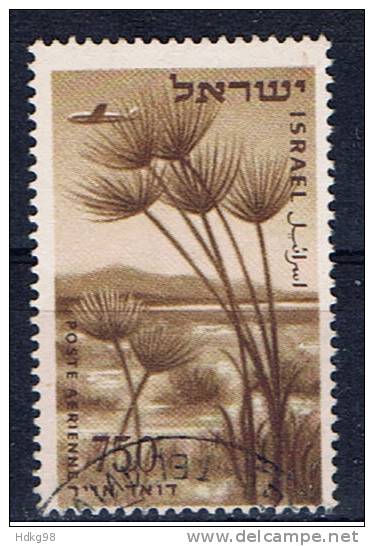IL+ Israel 1956 Mi 138 Papyrusstauden - Used Stamps (without Tabs)