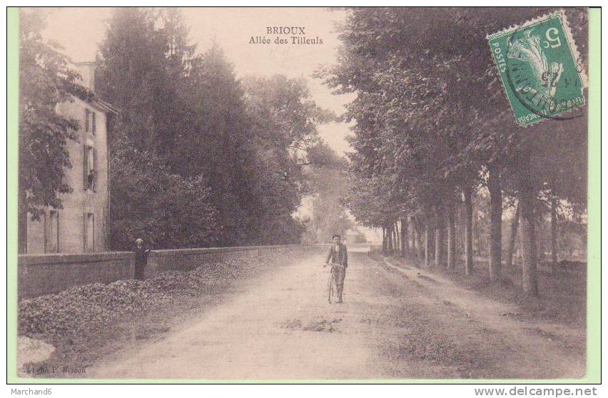 DEUX SEVRES.BRIOUX.ALLEE DES TILLEULS  Cp Plie Coin Bas Gauche état - Brioux Sur Boutonne