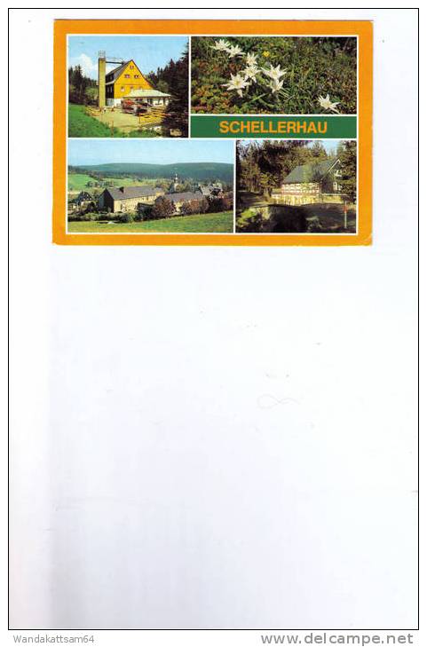 AK SCHELLERHAU (Kreis Dippoldiswalde) Erholungsort Mehrbild 4 Bilder 20.09.1986 - 9 Nach  D - 3388 Bad Harzburg - Schellerhau