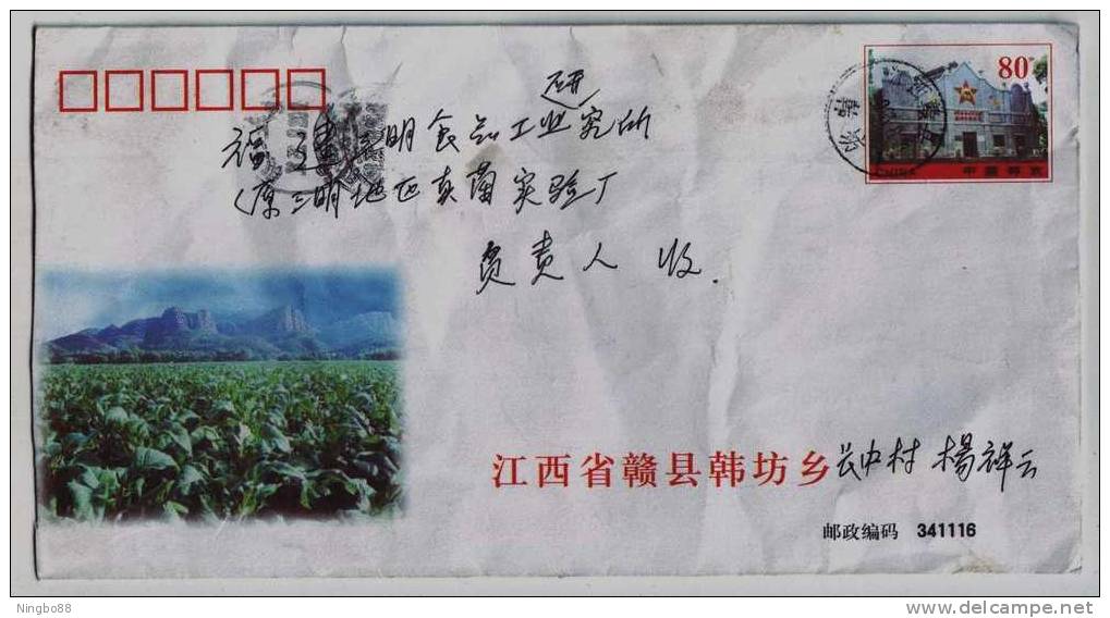 Tobacco Field,China 2002 Hanfang Base Of Flue-cured Tobacco Industry Advertising Postal Stationery Envelope - Tabacco