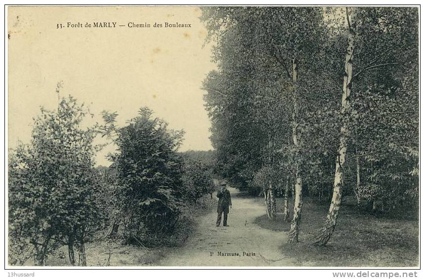 Carte Postale Ancienne Forêt De Marly Le Roi - Chemin Des Bouleaux - Végétaux, Arbres - Marly Le Roi