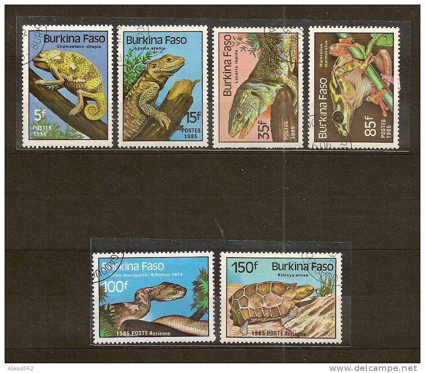 BURKINA FASO - Rettili - 1985  -  6  Val./US - N. 662-663-664-665-302aerea-303aerea - Burkina Faso (1984-...)