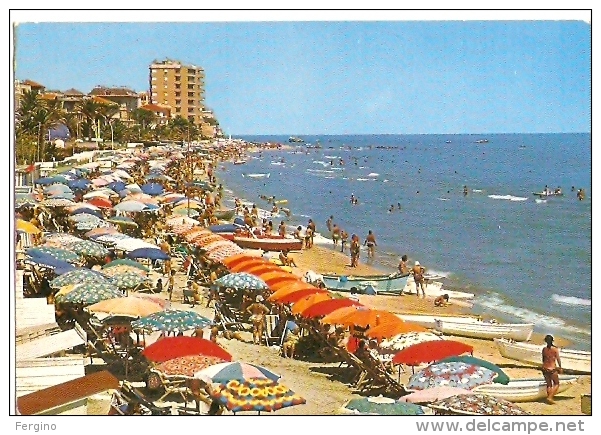 09/FG/09 - ASCOLI PICENO - GROTTAMMARE: La Spiaggia - Ascoli Piceno