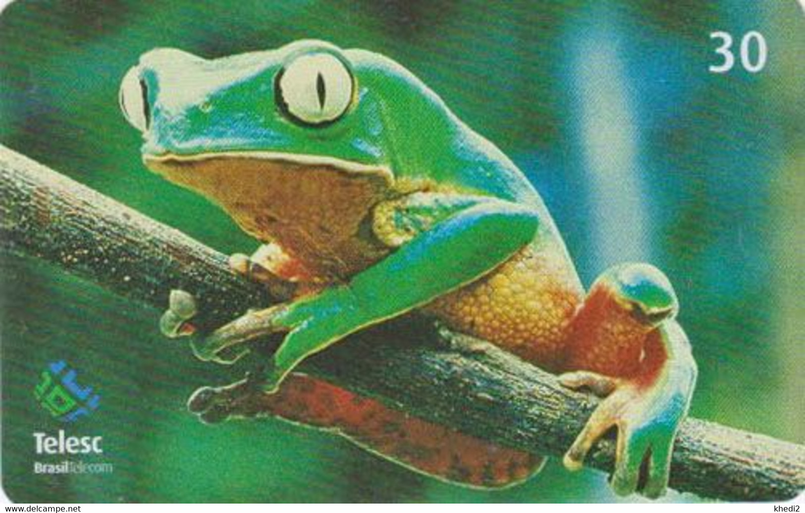 Télécarte BRESIL - ANIMAL - GRENOUILLE 1/12  - FROG BRAZIL Phonecard - FROSCH / BRASIL TELESC - 71 - Brésil