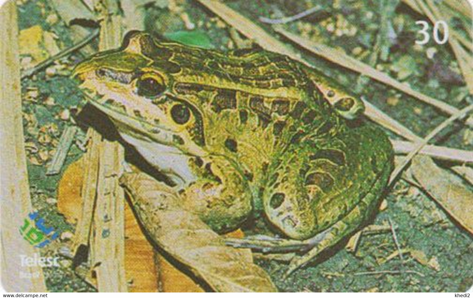 Télécarte BRESIL - ANIMAL - GRENOUILLE  5/12 - FROG BRAZIL Phonecard - FROSCH Telefonkarte - KIKKER / BRASIL TELESC - 74 - Brésil