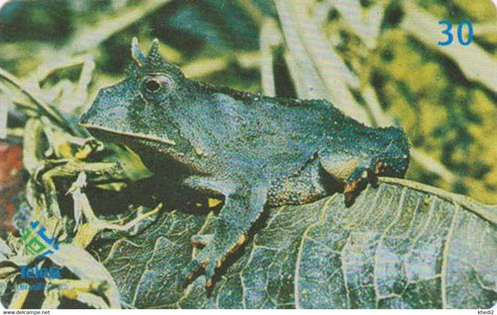 Télécarte BRESIL - ANIMAL - GRENOUILLE Crapaud 7/12 - FROG BRAZIL Phonecard - FROSCH KIKKER  / BRASIL TELESC - 75 - Brésil