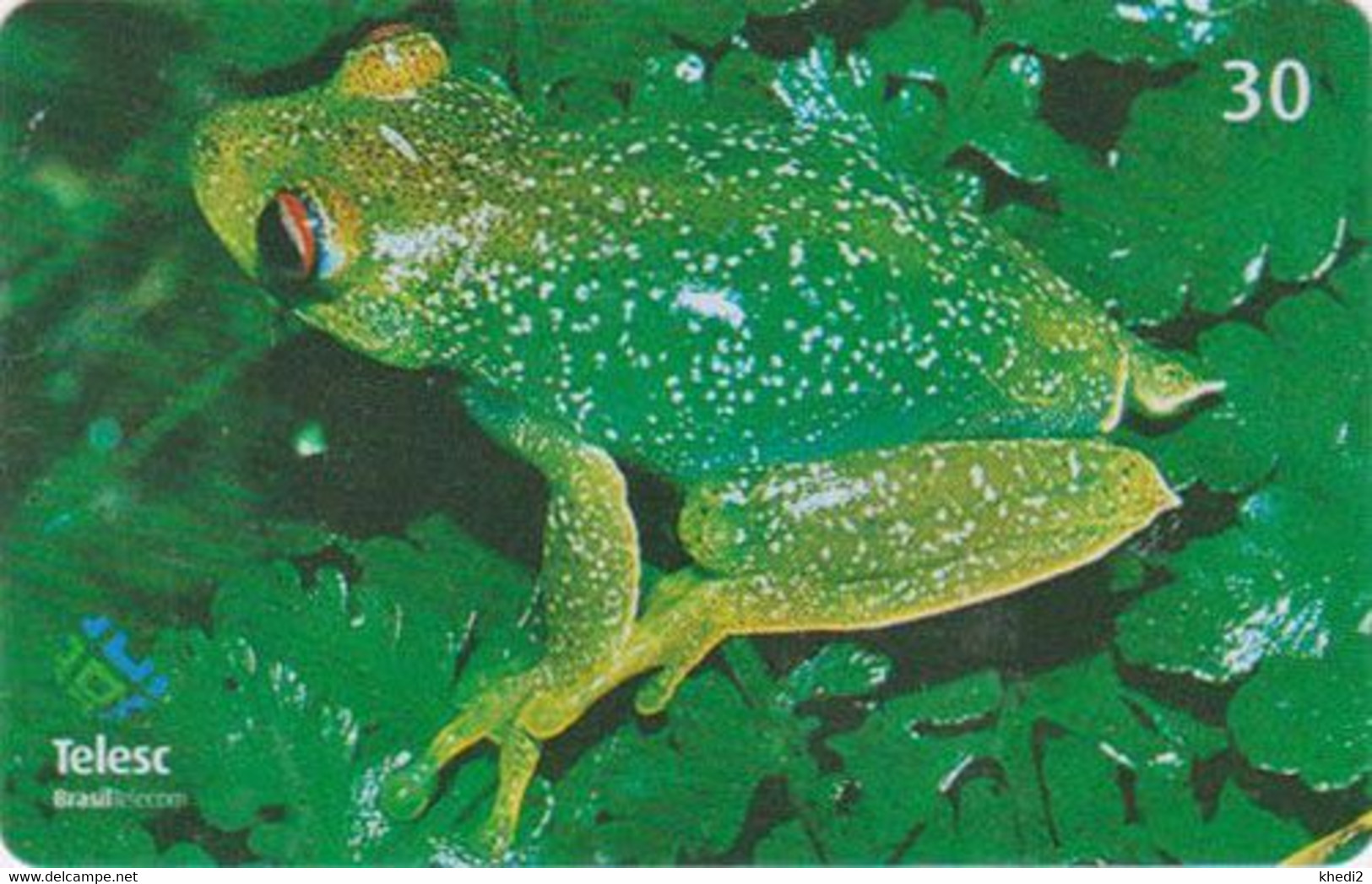 Télécarte BRESIL - ANIMAL - GRENOUILLE 8/12  - FROG BRAZIL Phonecard - FROSCH - KIKKER - RANA / BRASIL TELESC - 76 - Brésil