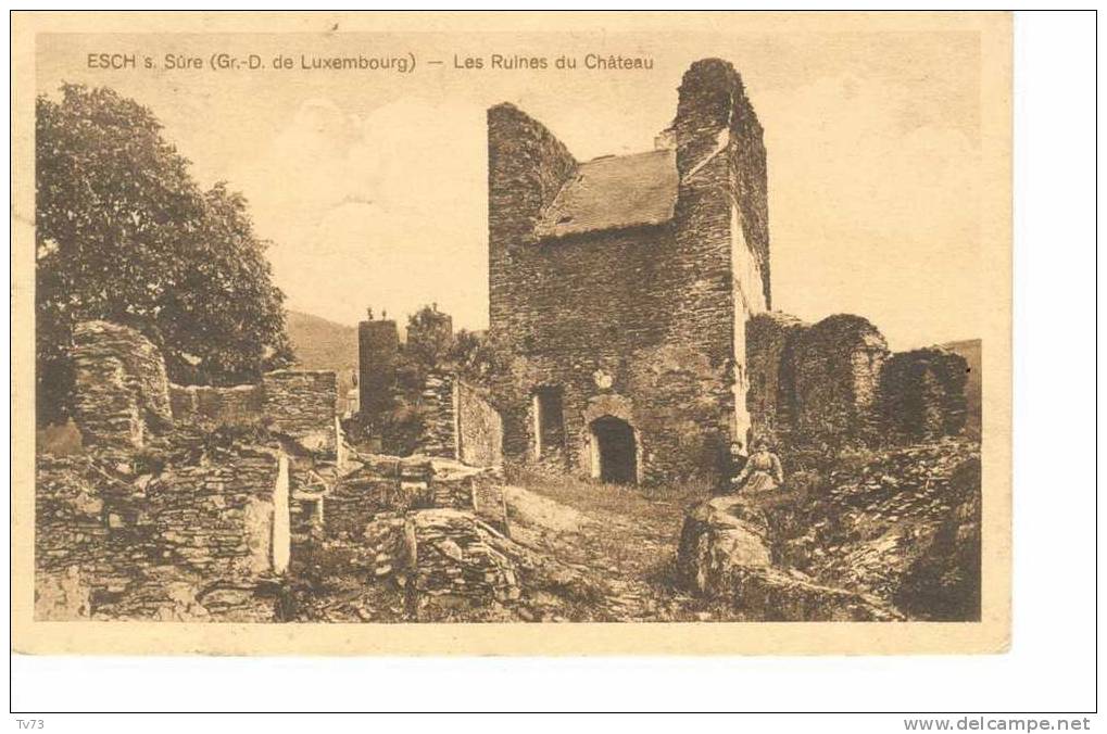 CpF1039 - ESCH Sur SURE - Les Ruines Du Chateau - (Luxembourg) - Esch-Sauer