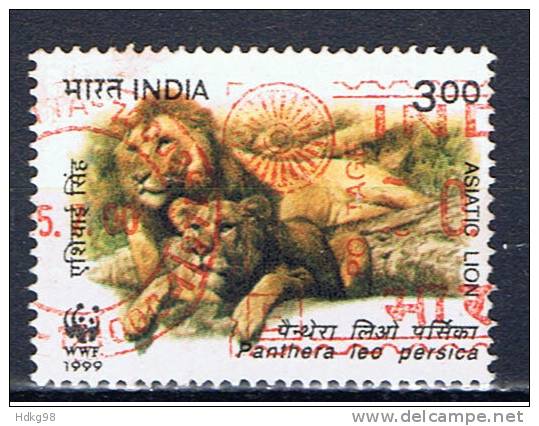 IND+ Indien 1999 Mi 1706 Indischer Löwe - Gebraucht