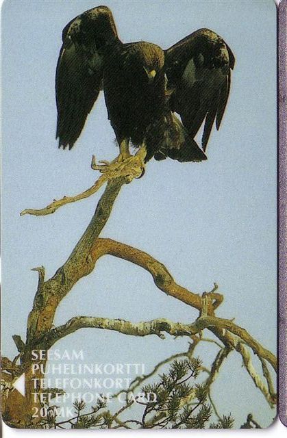 EAGLE ( Finland Rare Card ) * Aigle Adler Aguila Aquila Eagles Aigles * Birds Of Prey Raptors Raptor Bird Rapace Rapaces - Finland