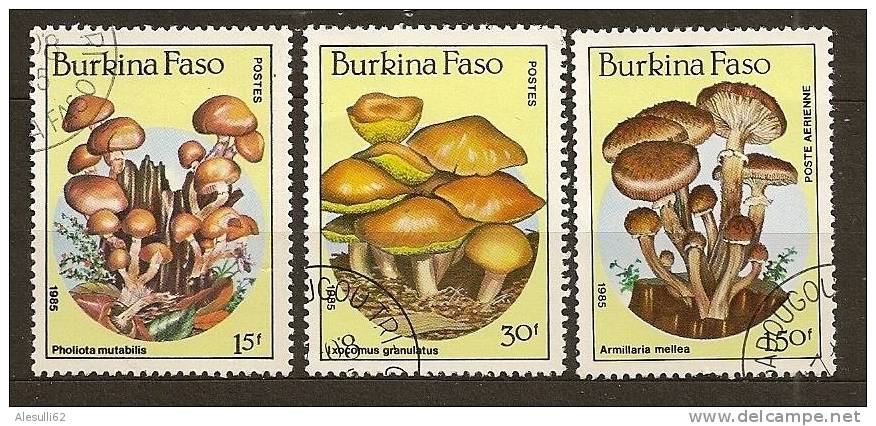 BURKINA FASO   - Funghi, Champignons -1985- N. 676-678-311 Aerea/US - Burkina Faso (1984-...)
