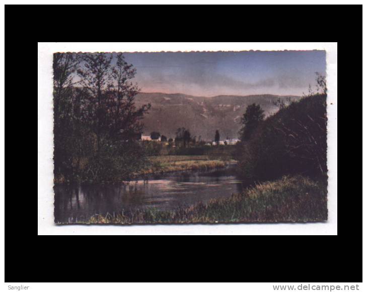 DIVONNE LES BAINS N° 5 - BORDS DE LA RIVIERE - VUE SUR LES HOTELS ET LE CHATEAU - Divonne Les Bains