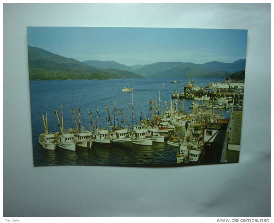 Part Of The Fishing Fleet Moored At Docking Facilities Along The Prince Rupert Waterfront - Other & Unclassified