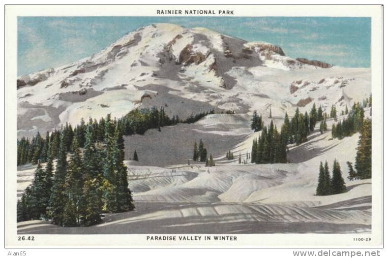 Mt. Rainier National Park, Paradise Valley 1930s Vintage Postcard, Washington State - Parques Nacionales USA