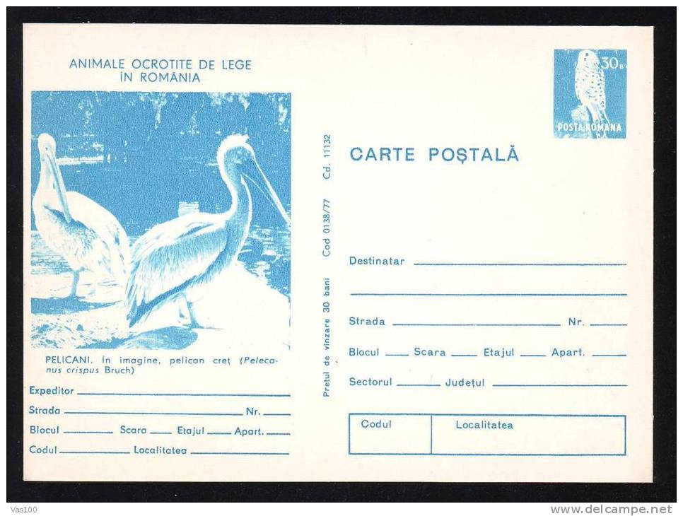 CARD BIRD Pelicans,1977 "pelicanus Crispus Bruch" Imprinted Postage Owl,ROMANIA - Pelicans