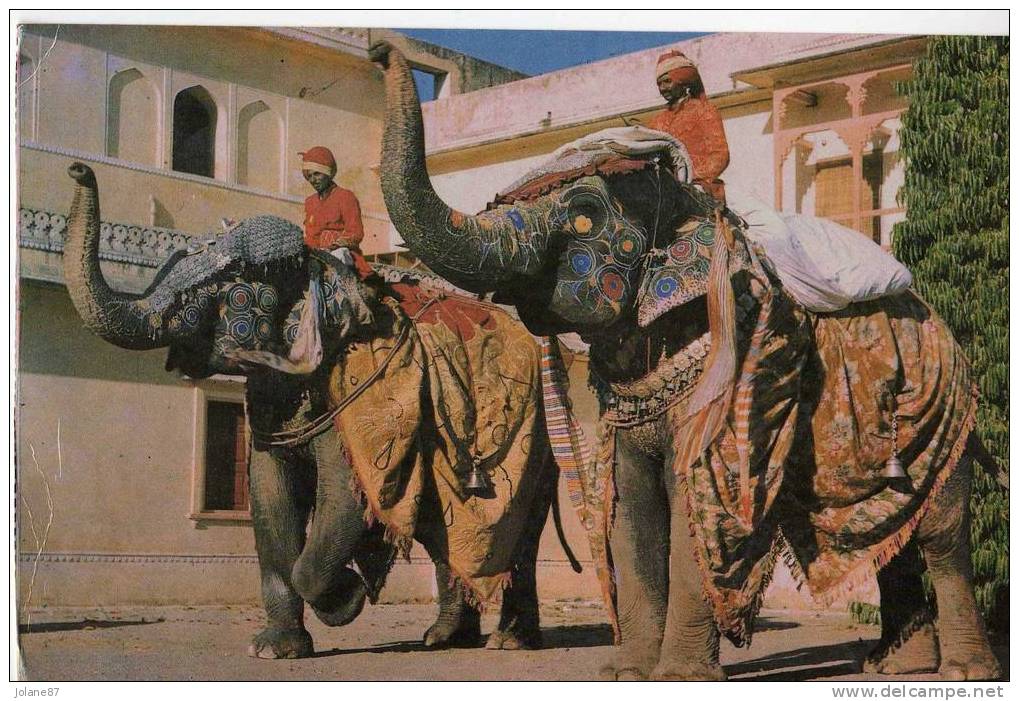 CPM       INDE            JAIPUR         DECORATED ELEPHANTS CITY PALACE - Indien