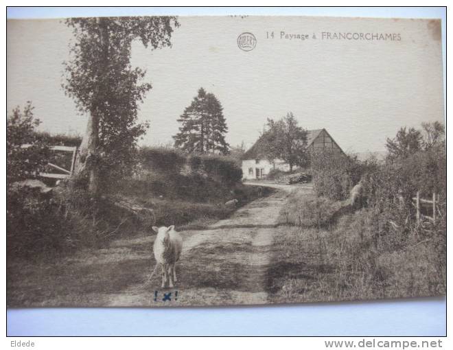 Francorchamps Paysage Mouton - Stavelot