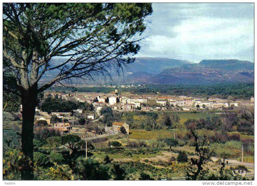 Carte Postale 83. Le Muy  Et Le Massif Du Rouet Trés Beau Plan - Le Muy