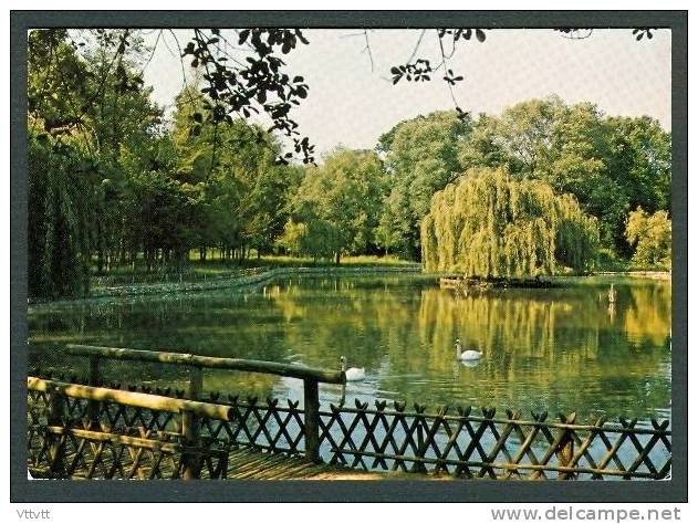 78 - VERNEUIL-SUR-SEINE : Le Lac, Edit. Abeille, Lyna-Paris (non Circulée) - Verneuil Sur Seine