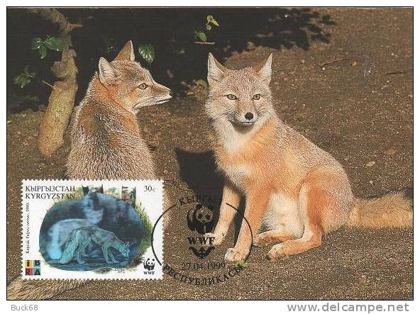 KIRGHIZSTAN 1999 WWF HOLOGRAMME Hologram Maximaphilie Carte Maximum Renard Des Steppes / Corsac Fox Vulpes Corsac 2 - Kirghizistan