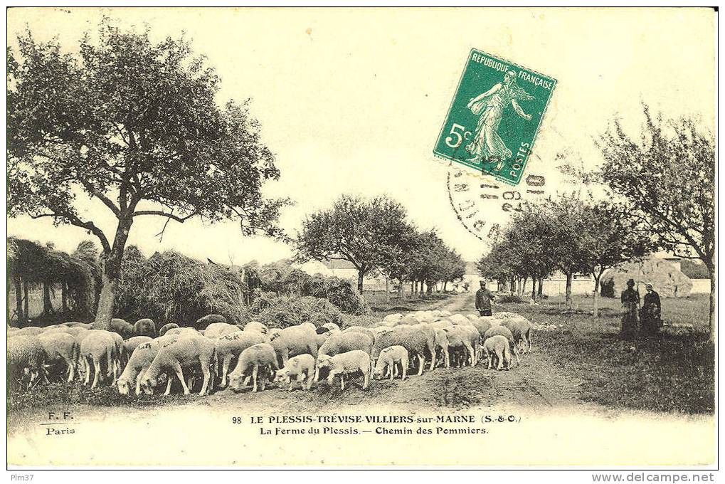 LE PLESSIS TREVISE - La Ferme Du Plessis - Berger Et Son Troupeau - Voy. 1910 - Le Plessis Trevise