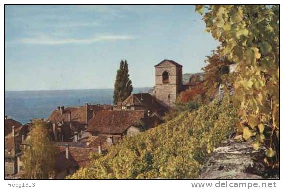 Saint Saphorin - Vue - Saint-Saphorin