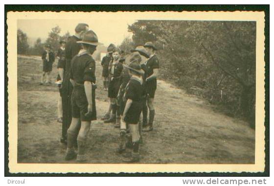 11731 -    Stockel     Scouts -  " Carte Photo " - St-Pieters-Woluwe - Woluwe-St-Pierre