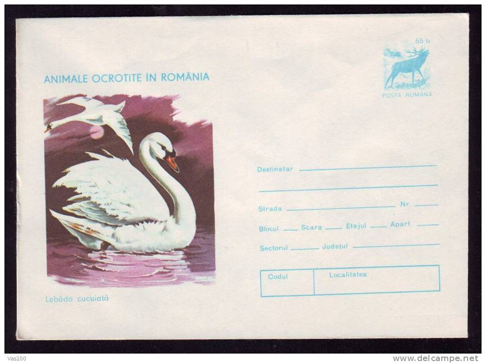 COVER,BIRD CYGNES 1977,STAMP, "CYGNUS OLOR",ROMANIA - Cygnes