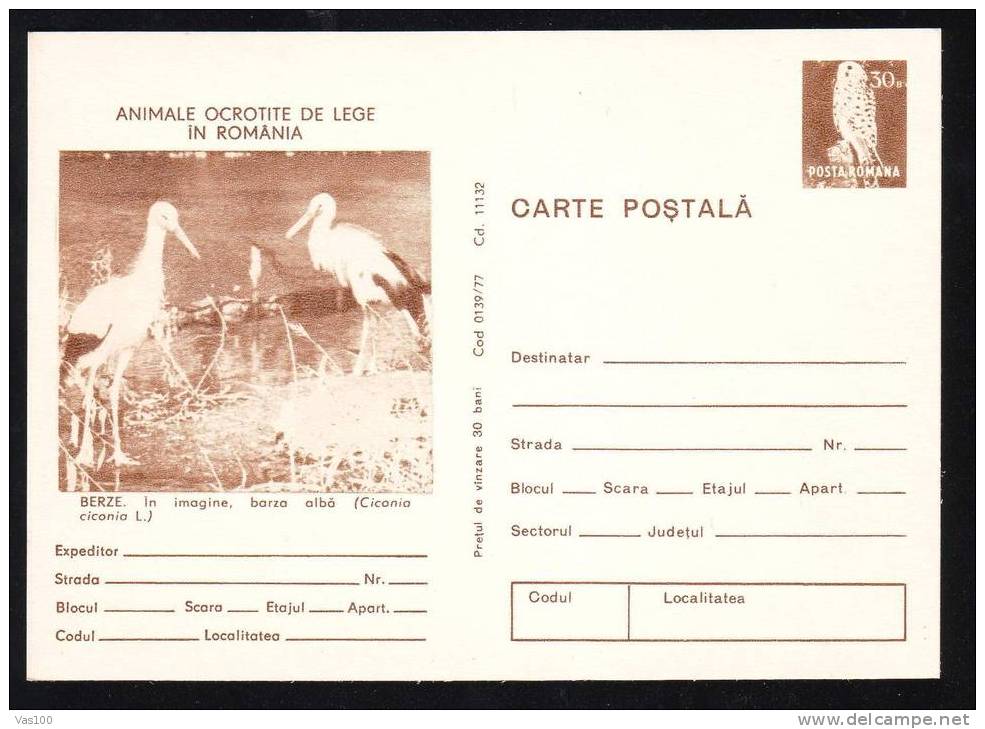 BIRD CICONIA CICONIA ,CARD STATIONERY 1977, ROMANIA. - Cigognes & échassiers