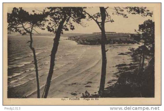 Ploare - Douarnenez - Plage Du Ris - Autres & Non Classés