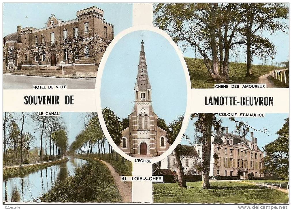 41  Souvenir De Lamotte - Beuvron -  (5 Vues ) - Lamotte Beuvron