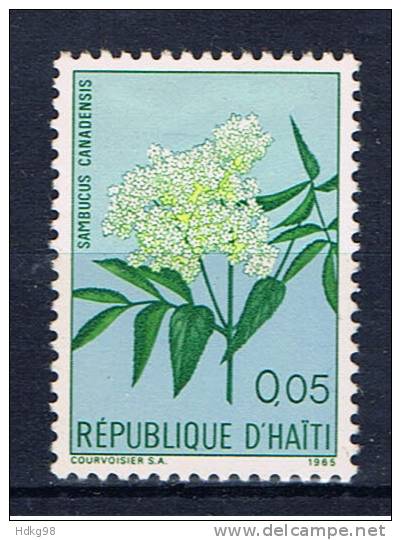 RH+ Haiti 1965 Mi 847 Blume - Haiti