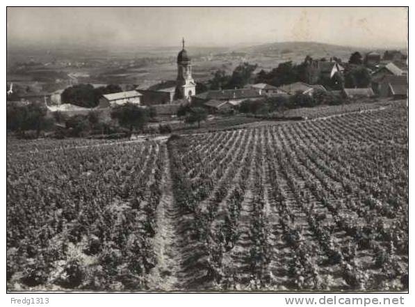 Chiroubles - Vue Generale - Chiroubles