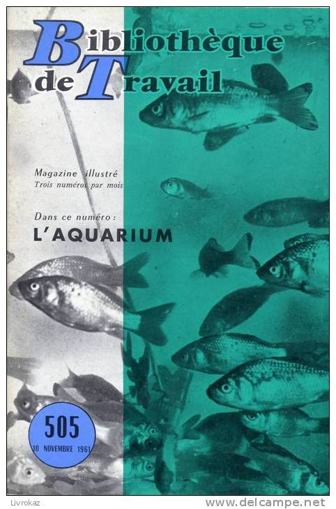 BT N°505 (1961) : L'aquarium. Bibliothèque De Travail. Freinet. - 6-12 Jahre