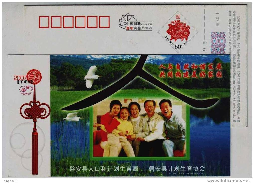 Harmonious Development Human & Nature,Egret Bird,CN07 Pan'an Bureau Of Population & Family Plan Advert Pre-stamped Card - Cigognes & échassiers