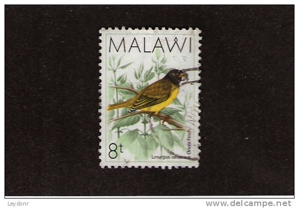 Malawi - Oriole Finch Bird - Scott # 522 - Malawi (1964-...)