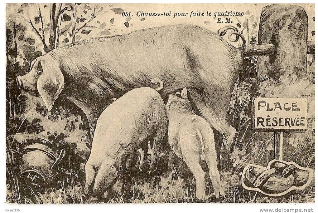 Cp Animaux COCHONS : Chausse Toi Pour Faire Le Quatrième ( Sabots) - Cochons