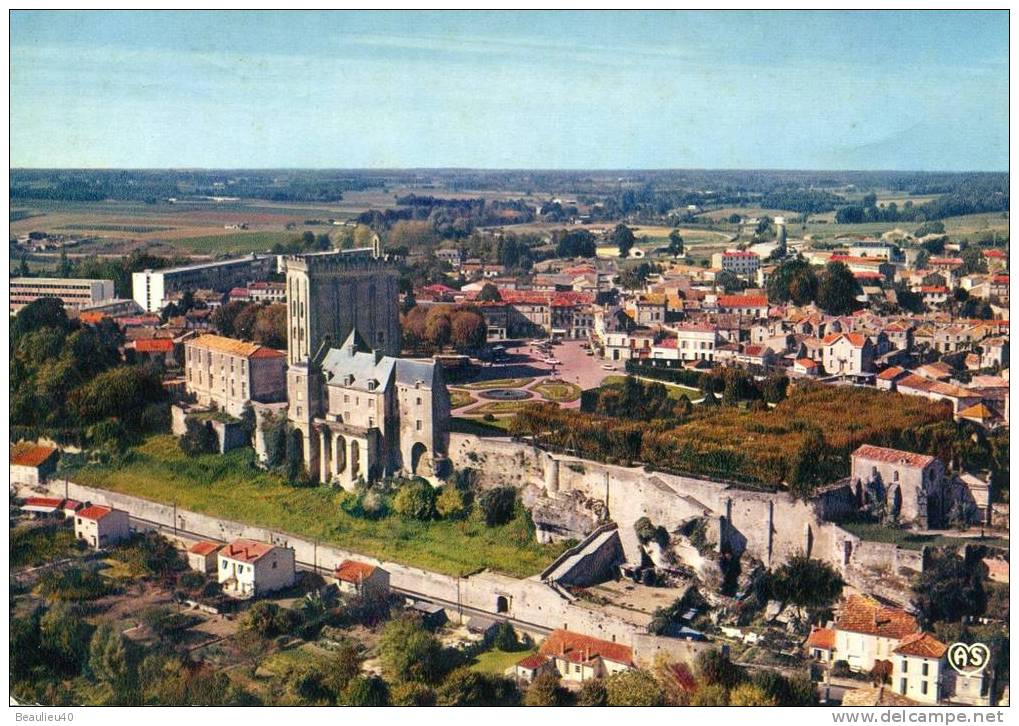 17  PONS   VUE D'ENSENSEMBLE, LE CHATEAU, LE DONJON, LE PARC, AU FOND LE LYCÉE - Pons