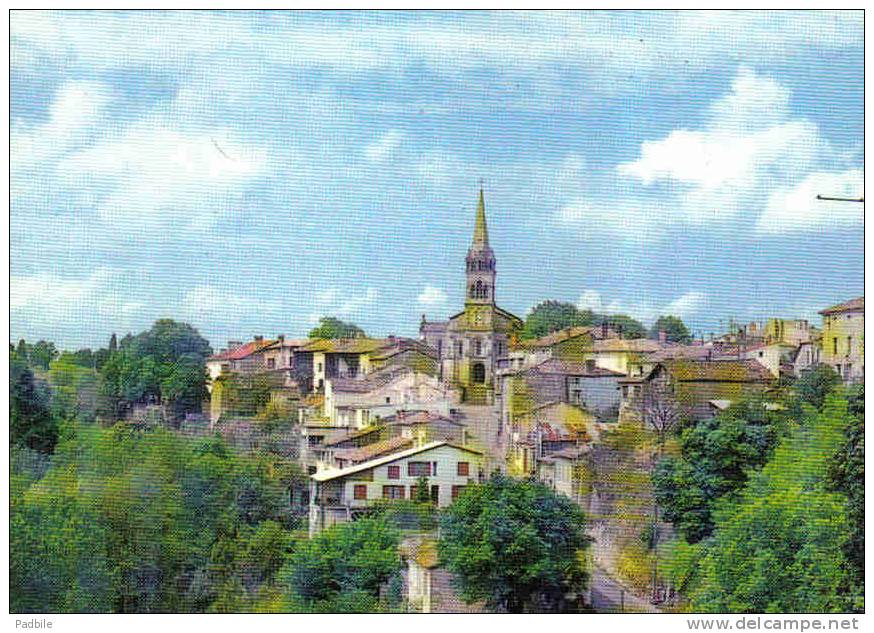 Carte Postale 47.  Meilhan  Trés Beau Plan - Meilhan Sur Garonne