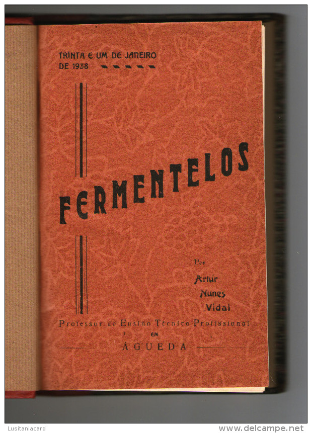 ÁGUEDA - MONOGRAFIAS - «FERMENTELOS»( Autor. Artur N. Vidal-1938) - Alte Bücher
