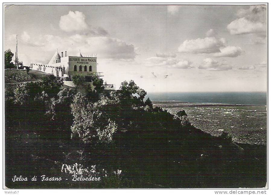 $-0188-  SELVA DI FASANO - BELVEDERE - BRINDISI - F.G. -  VIAGGIATA  ´53 - ITALY - Brindisi