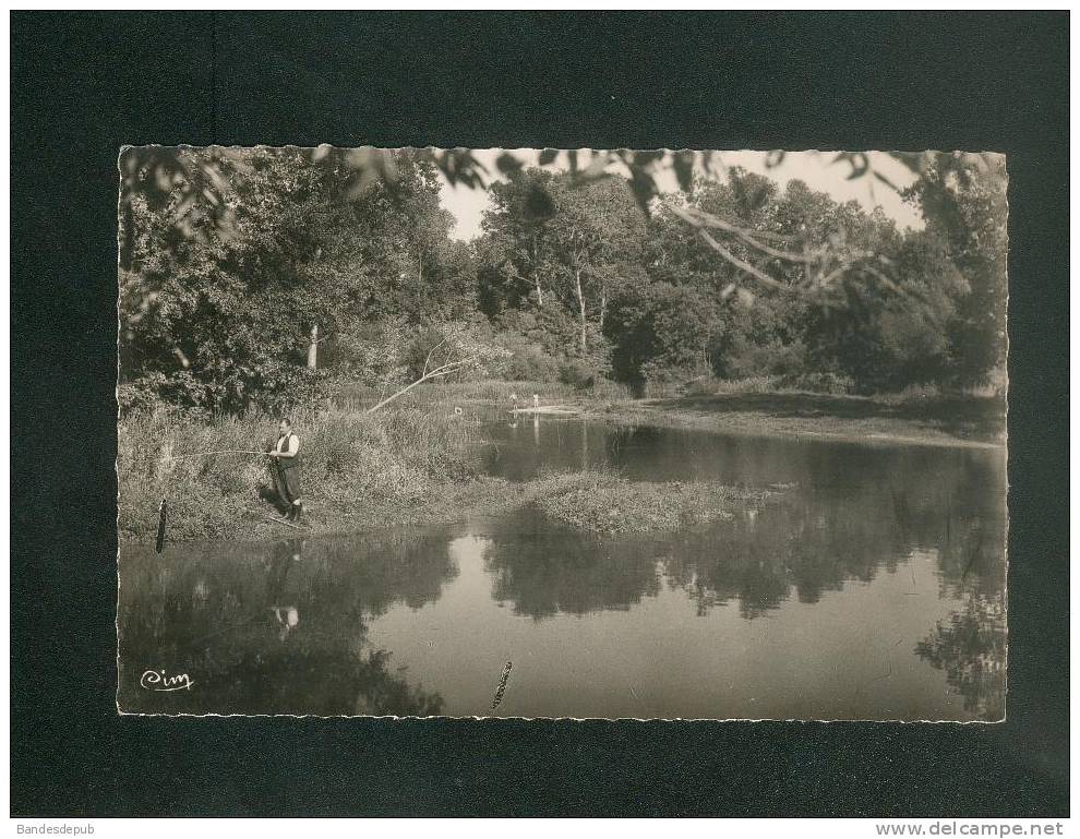 CPSM - Héry ( Yonne 89) - La Rivière ( Animée Pêcheur Pêche à La Ligne COMBIER CIM Format CPA) - Hery