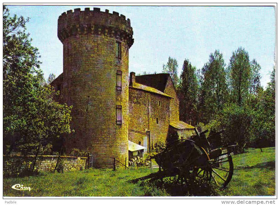 Carte Postale 79.  Lezay  Chateau De Germain Trés Beau Plan - Airvault
