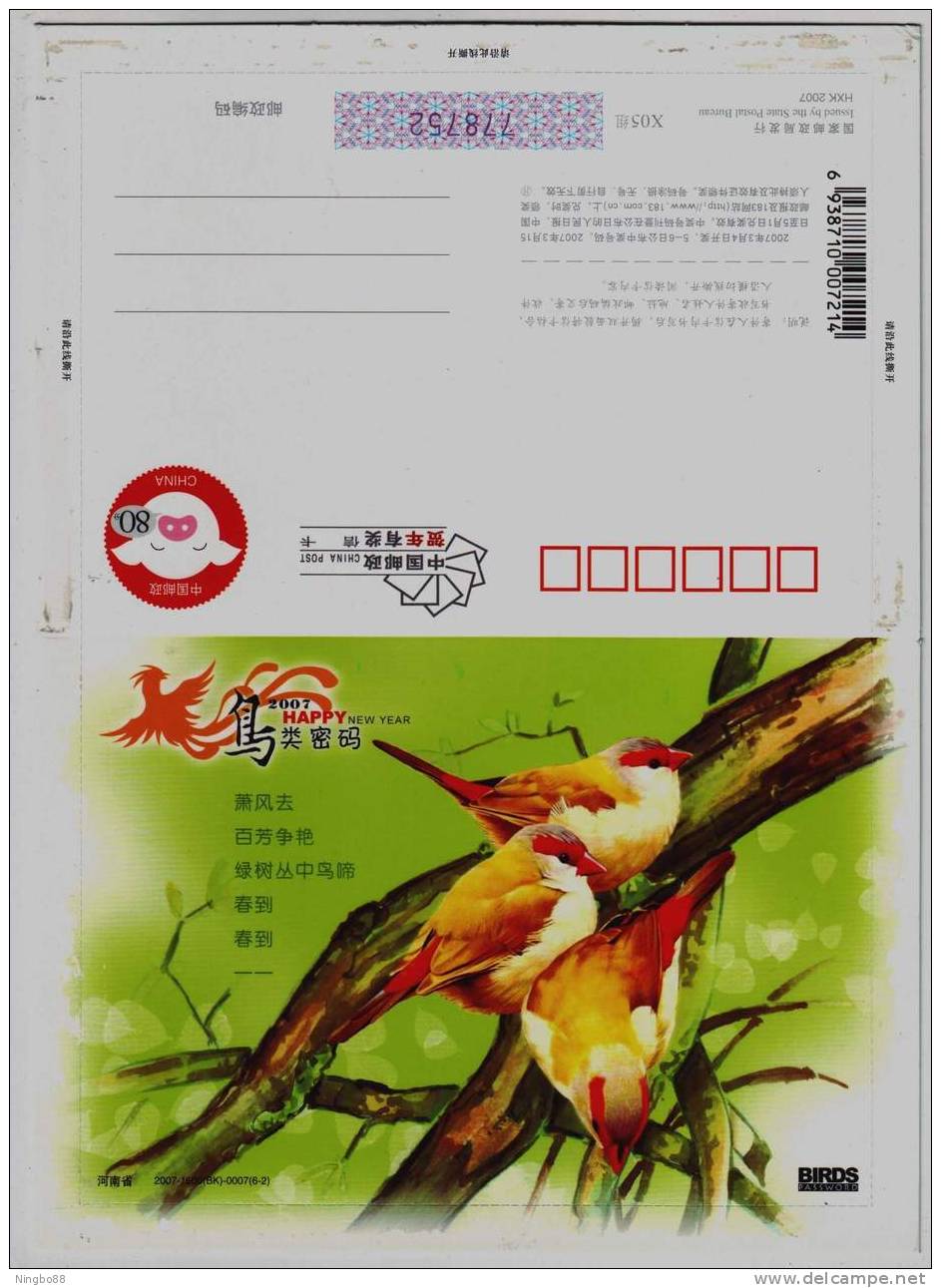 Bird Password,Rare Bird,China 2007 Henan New Year Greeting Pre-stamped Letter Card - Moineaux