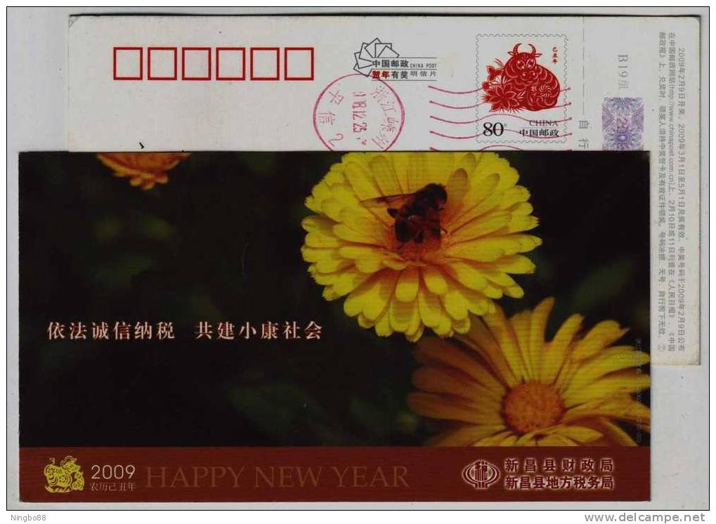 Insect,Honeybee,Bee,Flower,China 2009 Xinchang Country Local Taxation Bureau Advertising Pre-stamped Card - Honeybees