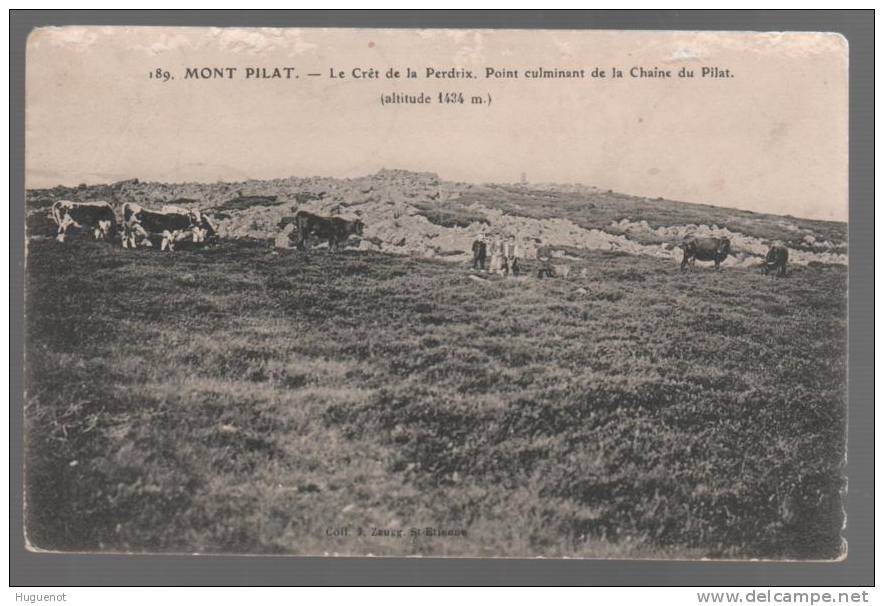 C - CARTE POSTALE - 42 - MONT PILAT - LE CRET DE LA PERDRIX - - Mont Pilat
