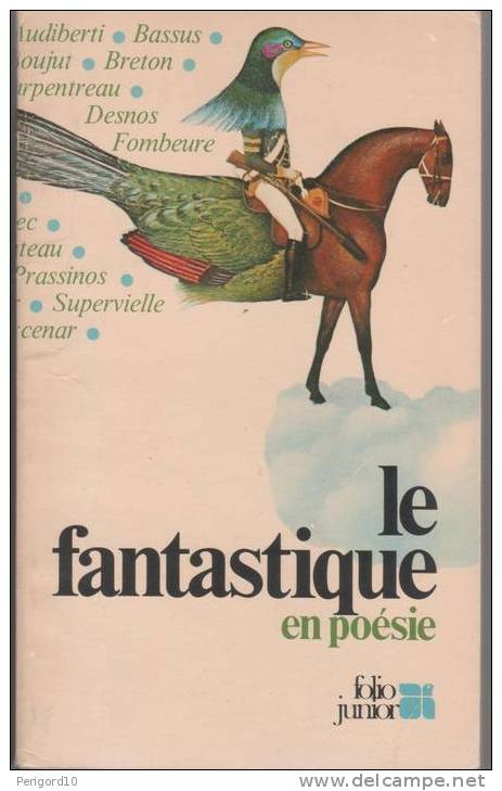 Le Fantastique En Poésie - - Autores Franceses