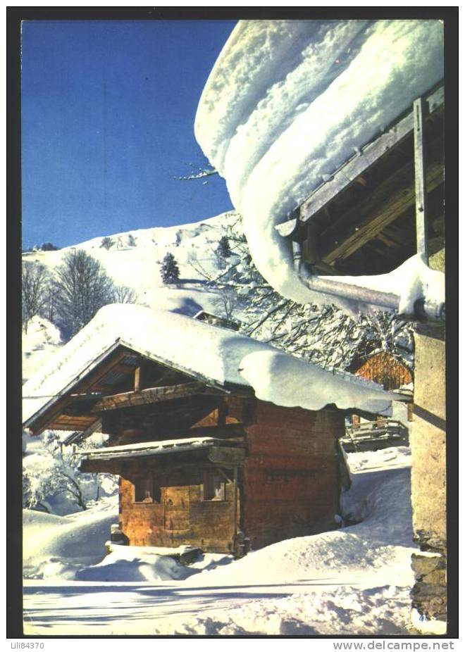 ST JEAN D´ AULPS  .  Le Mazot Des Neiges - Saint-Jean-d'Aulps