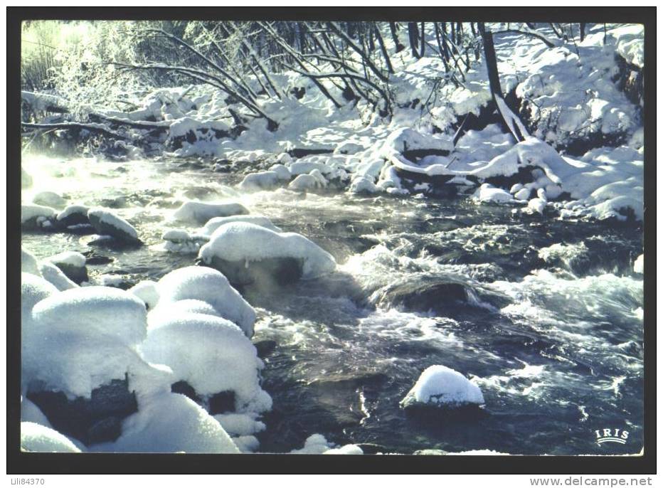 ST JEAN D' AULPS   Les Torrent De Neiges - Saint-Jean-d'Aulps